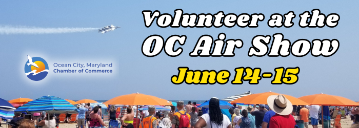 Volunteer Air Show