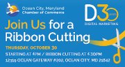 Oct. 30 • D3 30th Anniversary Celebration