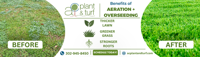 AC Plant & Turf