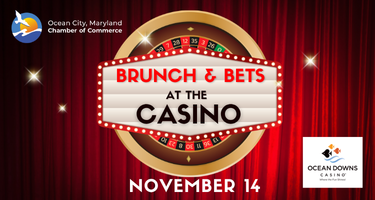 Nov. 14 • Brunch & Bets at the Casino