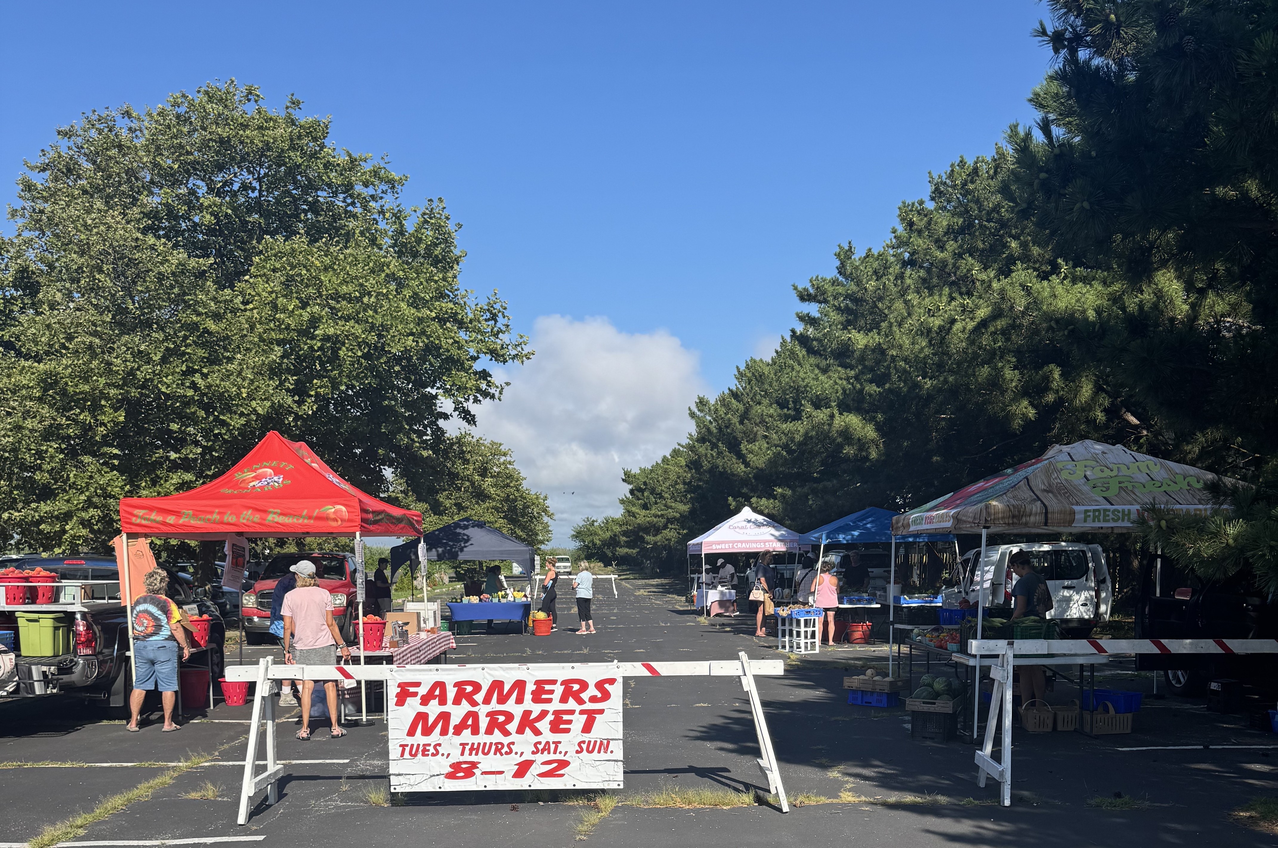 Through Sept. 6 • Ocean City Farmers Market