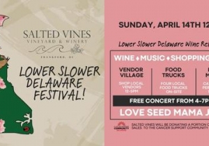 1st Annual Lower Slower Delaware Festival