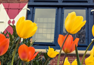 Tulip Crafts at the Zwaanendael Museum