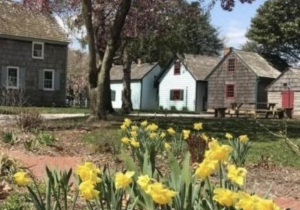 History in Bloom Tours
