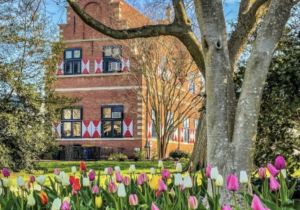 Dutch American Friendship Day Exhibit at the Zwaanendael Museum