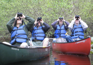 Spring Delmarva Birding Weekend