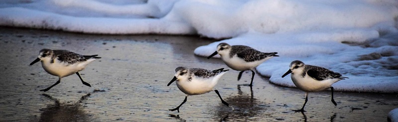 Southern Delaware Fun Heats Up in April!
