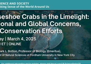 Science and Society: Horseshoe Crabs in the Limelight