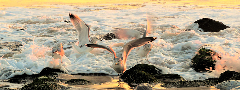 Southern Delaware Marches into Spring!