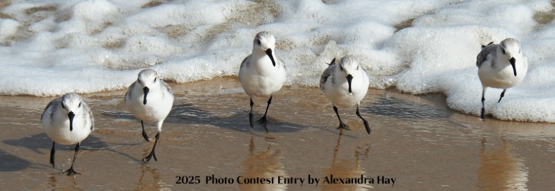 Southern Delaware Fun Heats Up in April!