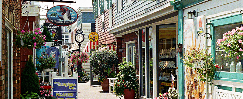 August Awesomeness in Southern Delaware