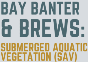 Bay Banter and Brews: Submerged Aquatic 