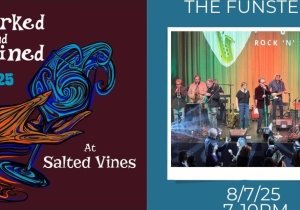 The Funsters Concert at Salted Vines