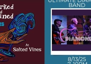 Ultimate Diamond Band Concert at Salted Vines