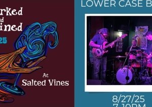 Lower Case Blues Concert at Salted Vines