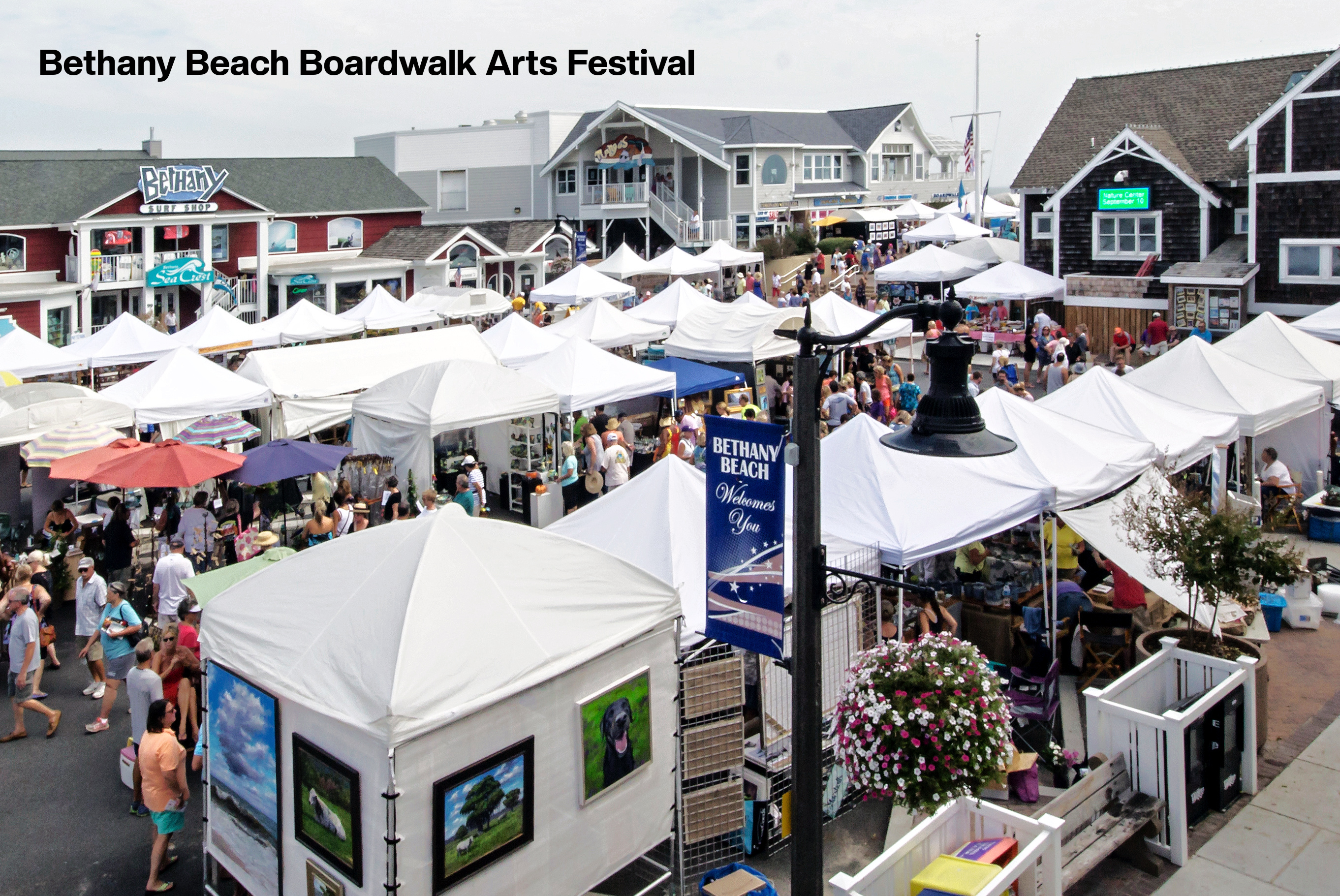 August Awesomeness in Southern Delaware