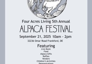 2025 Alpaca Festival