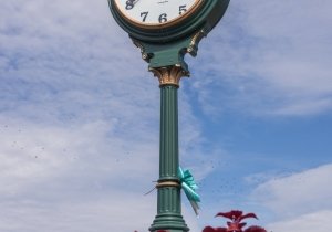 Milton Garden Tour