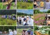 Meadow Tour