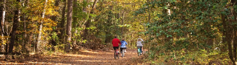Gobble 'til you Wobble in Southern Delaware