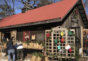 Holiday Village & Market