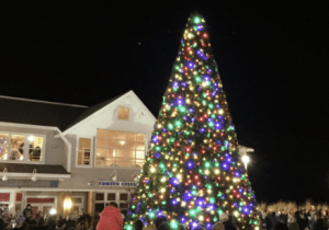 South Bethany 4th Annual Holiday Tree Lighting Ceremony