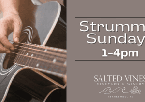 Strummin' Sundays at Salted Vines
