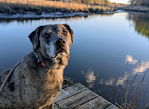 Lazy L at Willow Creek Bed & Breakfast