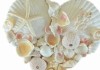 Heart of the Sea Shell Mosaic
