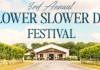 Third Annual Lower Slower Delaware Festival