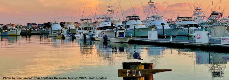 Start the New Year Right with a Visit to Southern Delaware