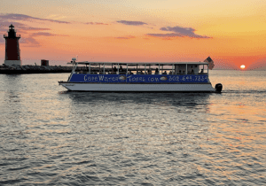 Dolphin Watching, Lewes Ferry