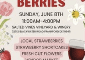 Blossoms & Berries Sip & Shop