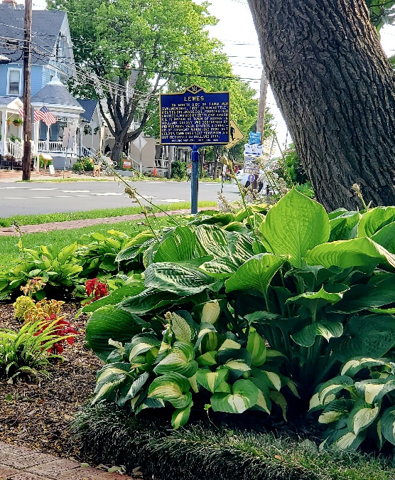 35th Annual Lewes Garden Tour