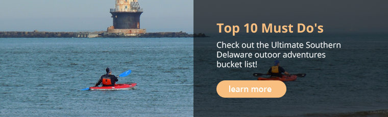 Top 10 Must Do's