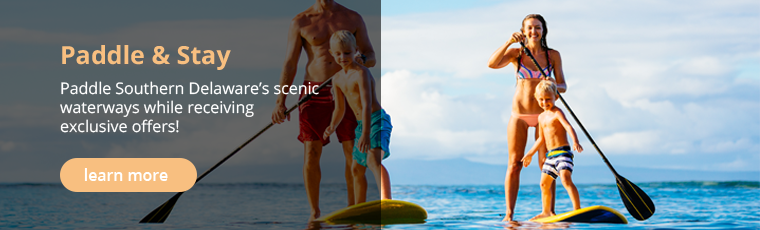 Paddle & Stay