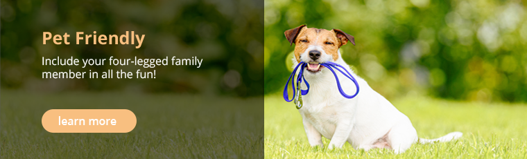 Pet Friendly